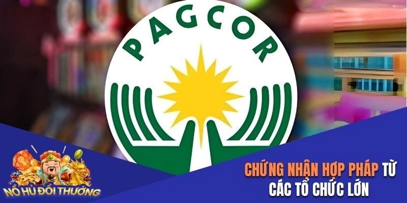 Đơn vị được chứng nhận từ các tổ chức uy tín 