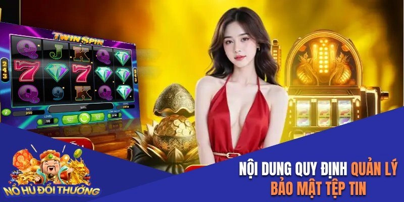 Nội dung quy định quản lý bảo mật tệp tin